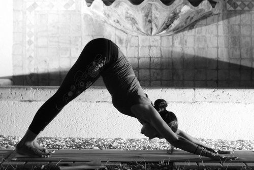 adho mukha svanasana